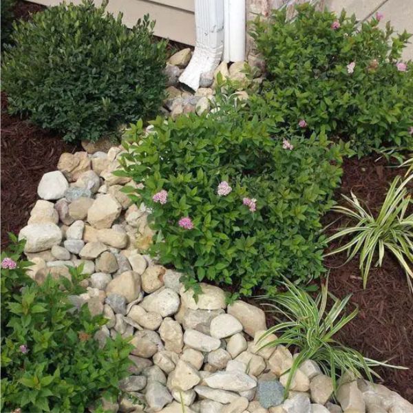 Landscape Downspout Ideas