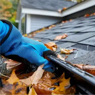 Leaves in gutter